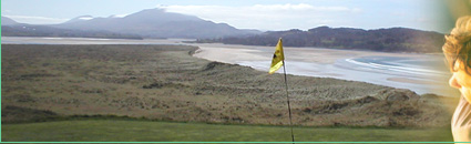 Hackett's Sod, Hole 16, Maheramagorgan Course